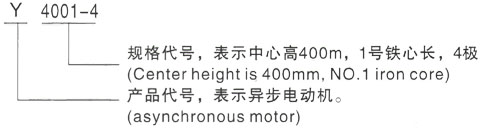 西安泰富西玛Y系列(H355-1000)高压YE2-200L-8三相异步电机型号说明